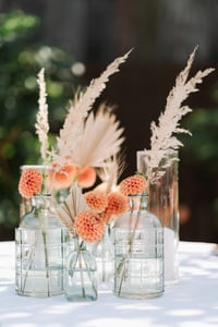 dried pampas grass