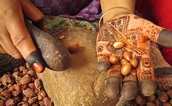 Argan Nut Crushing