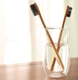 Bamboo Toothbrush