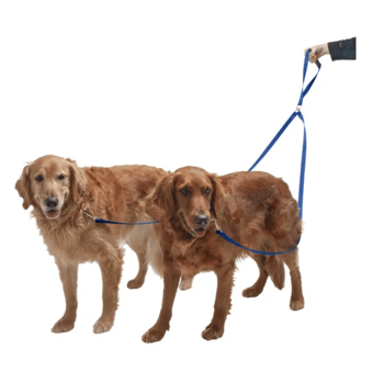 FurHaven Pet Dog Leash
