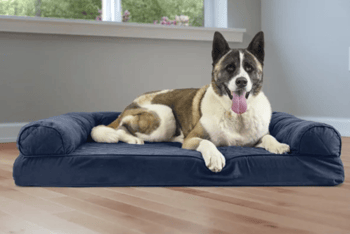 FurHaven Pet Dog Bed