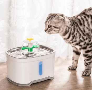 Pet Water Fountain - Automatic