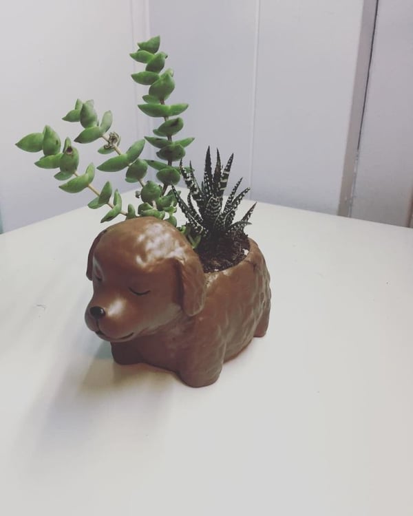 plantenbak in de vorm van een hond