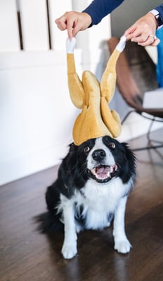 butters-with-turkey-hat