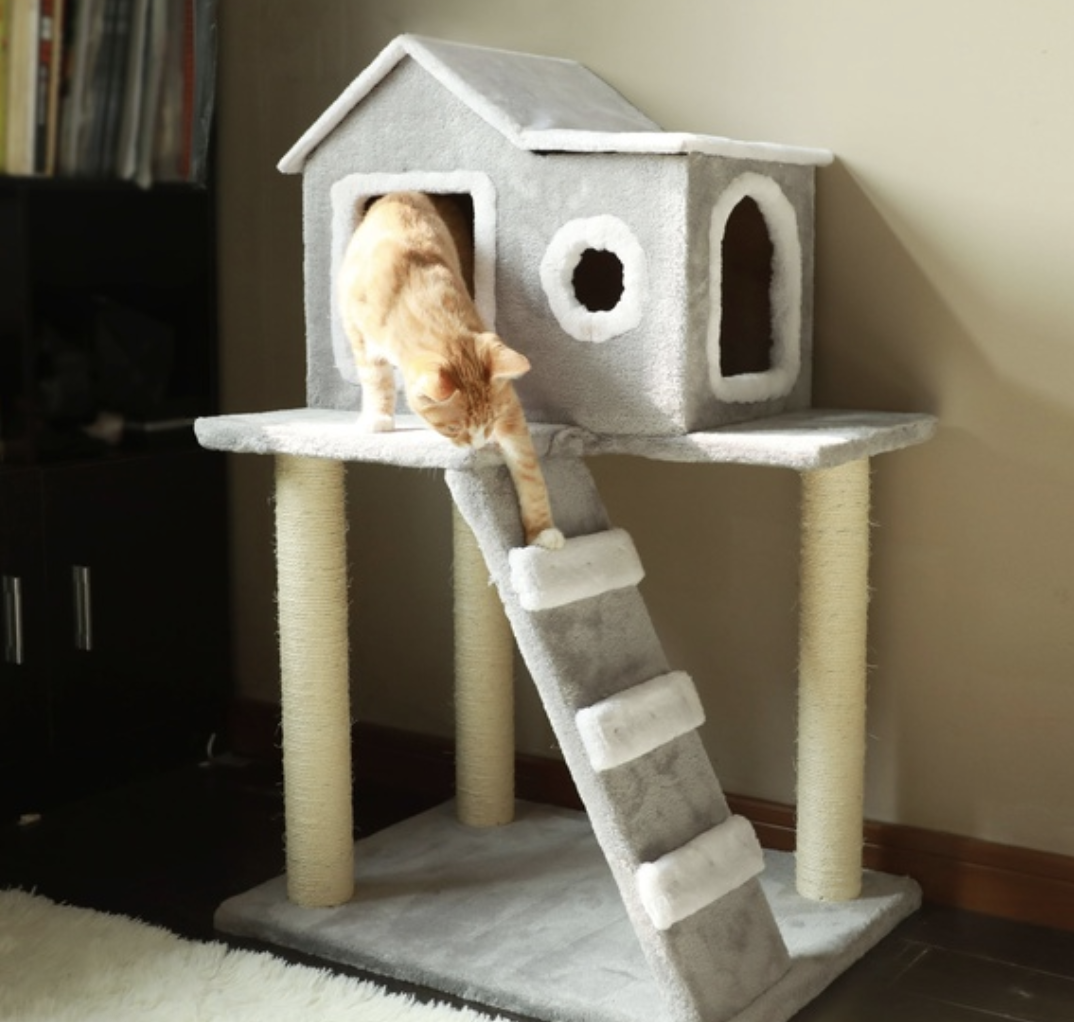 Cat Furniture Wish App