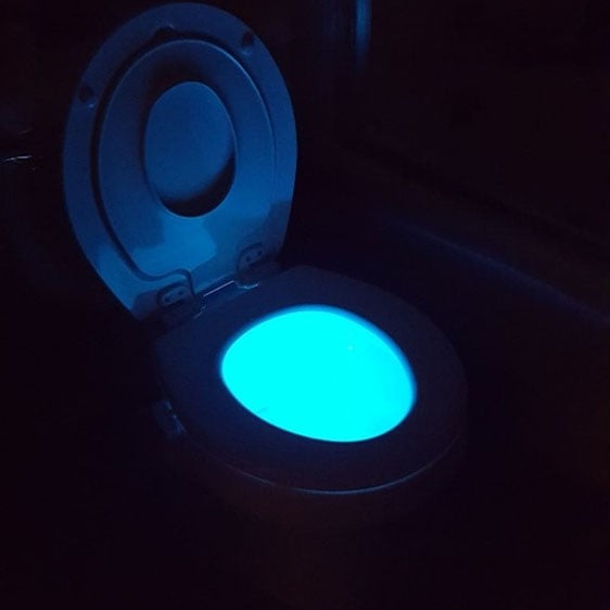 toilet light from wish