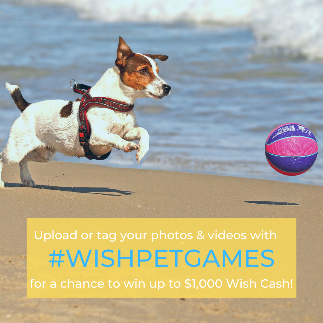 #WishPetGames Official Contest Rules