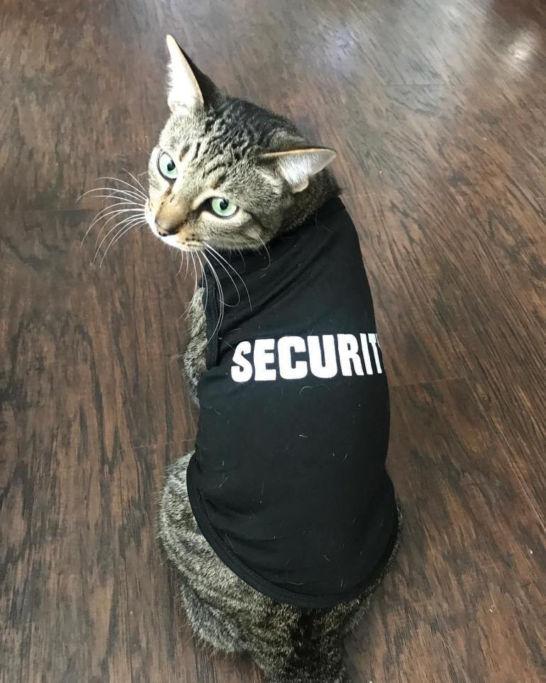 Security Costume