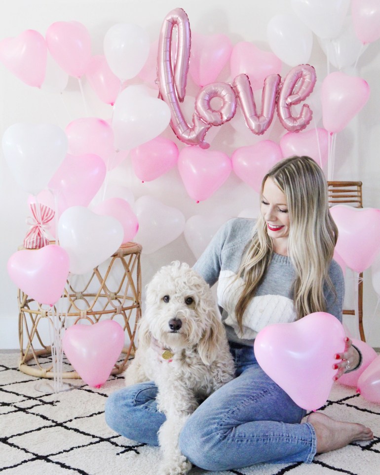 dog, love, Valentine's