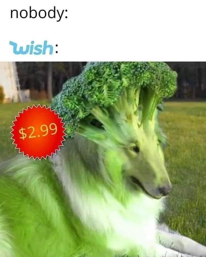 broccoli dog meme