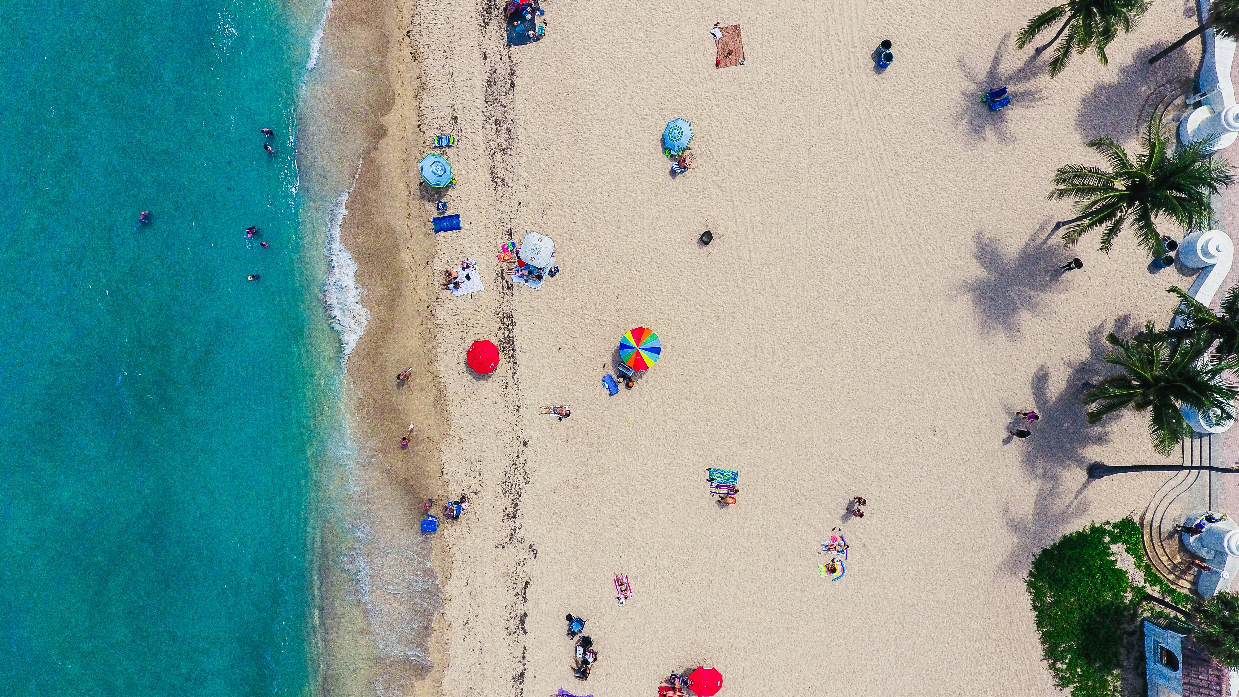 people on a beach