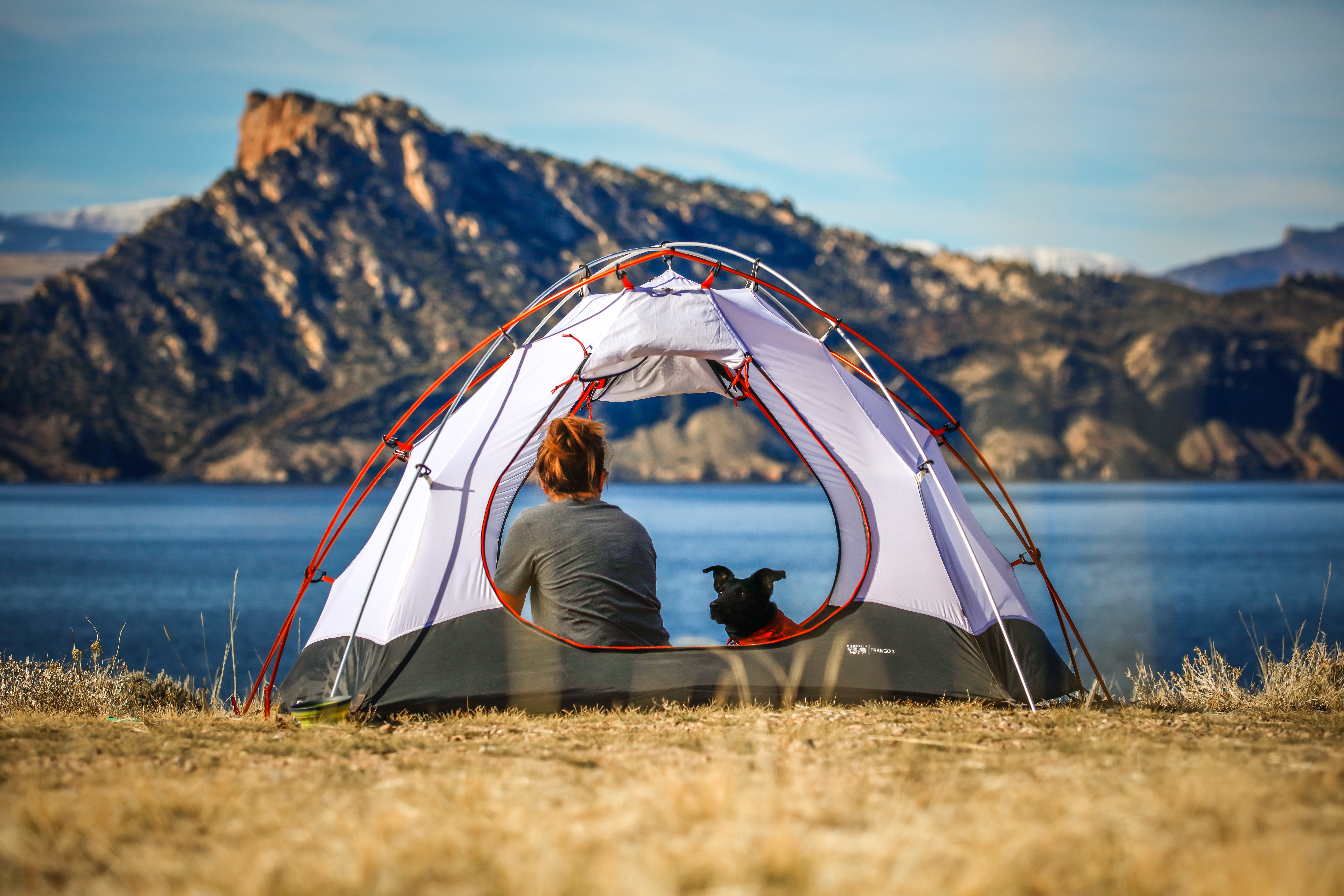 camp tent with dog and person