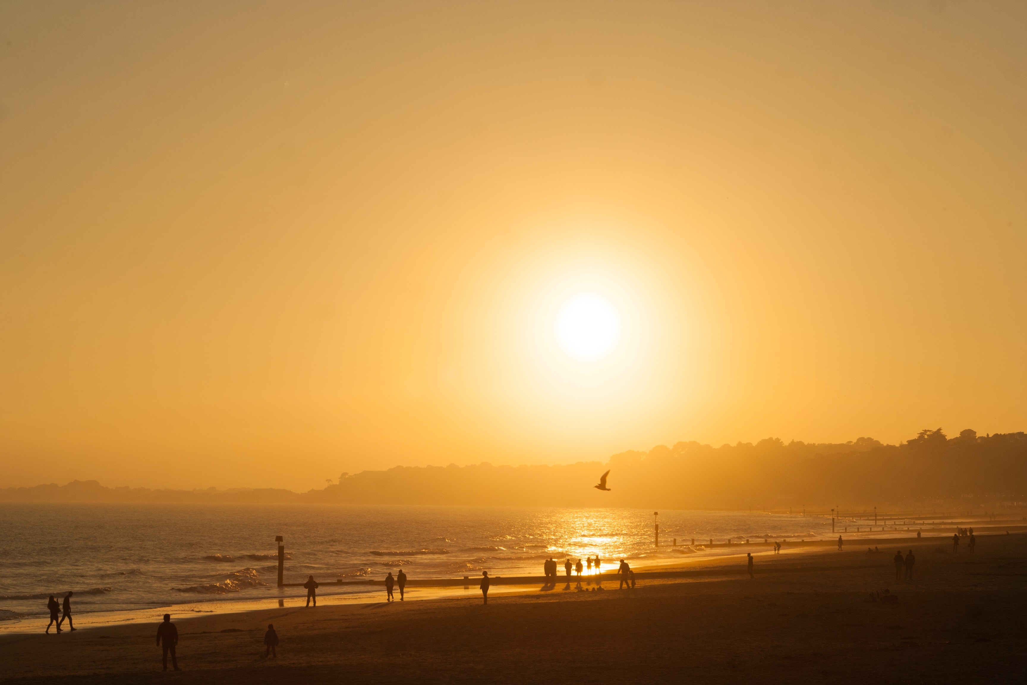 sunset scene at the beach