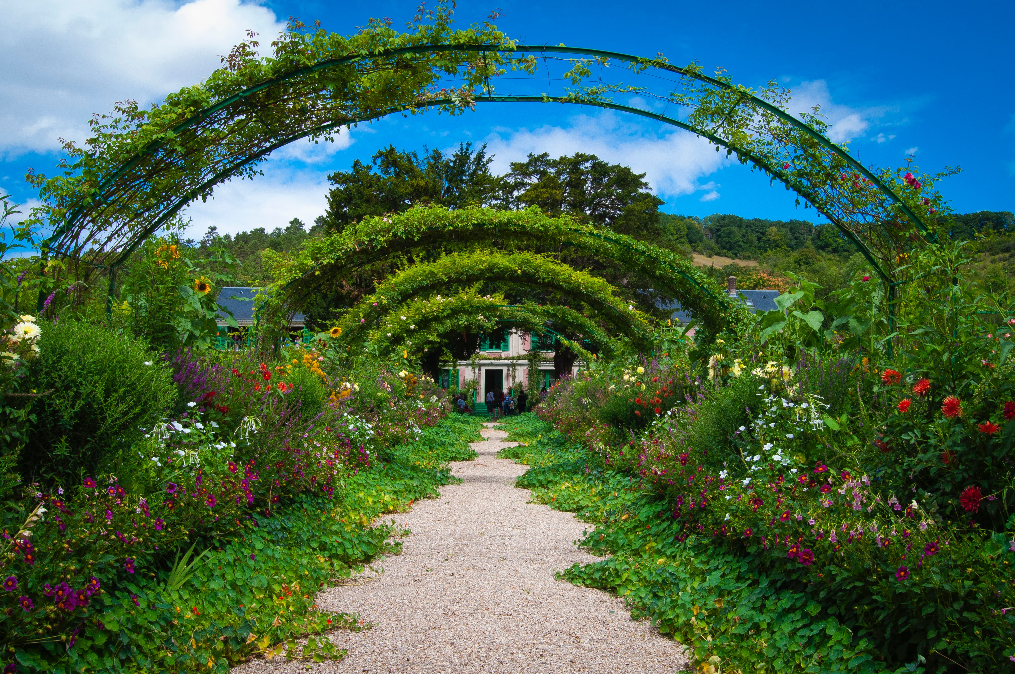 Garden, Blossom, and Bloom on Earth Day With Wish